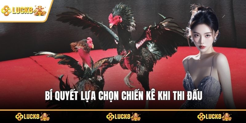 Bí quyết lựa chọn chiến kê khi thi đấu