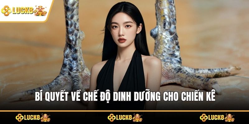 Bí quyết về chế độ dinh dưỡng cho chiến kê