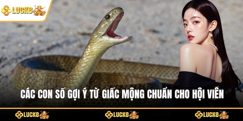 Các con số gợi ý từ giấc mộng chuẩn cho hội viên