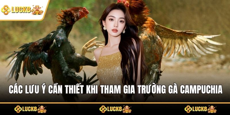 Các lưu ý cần thiết khi tham gia trường gà Campuchia