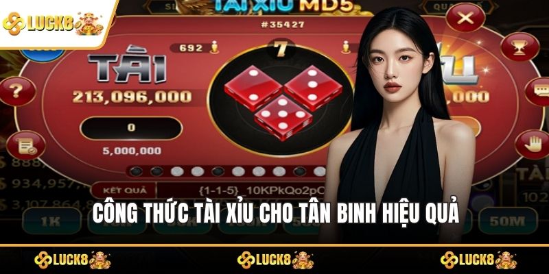 Công thức tài xỉu cho tân binh vừa hiệu quả, vừa giảm rủi ro