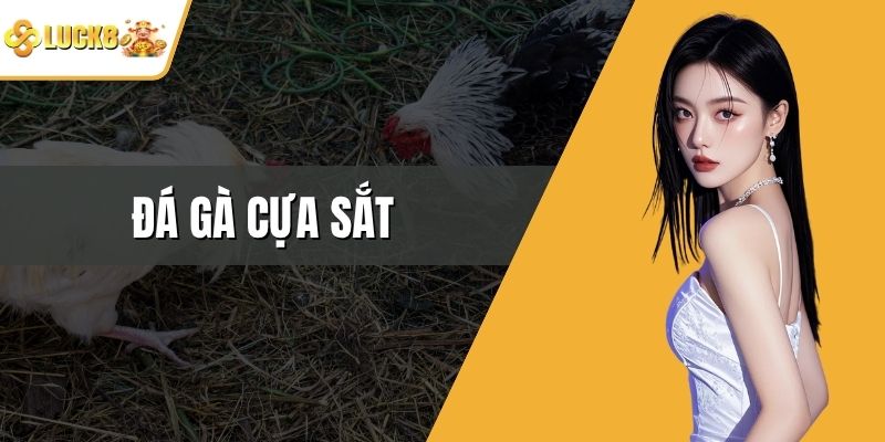 Đá Gà Cựa Sắt