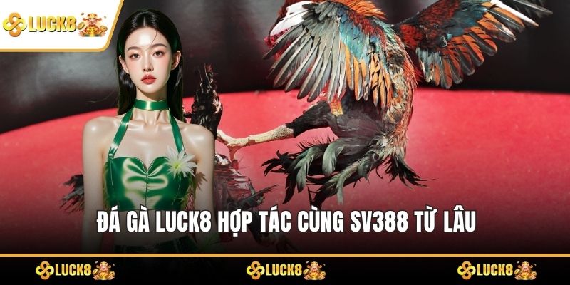 Đá Gà LUCK8 hợp tác cùng SV388 từ lâu