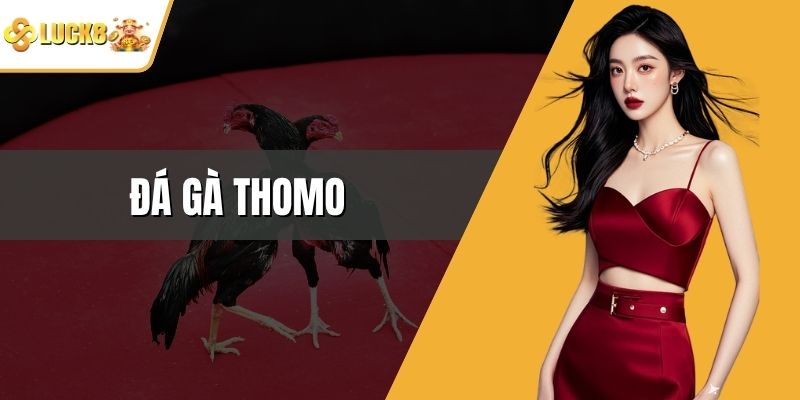 Đá Gà Thomo