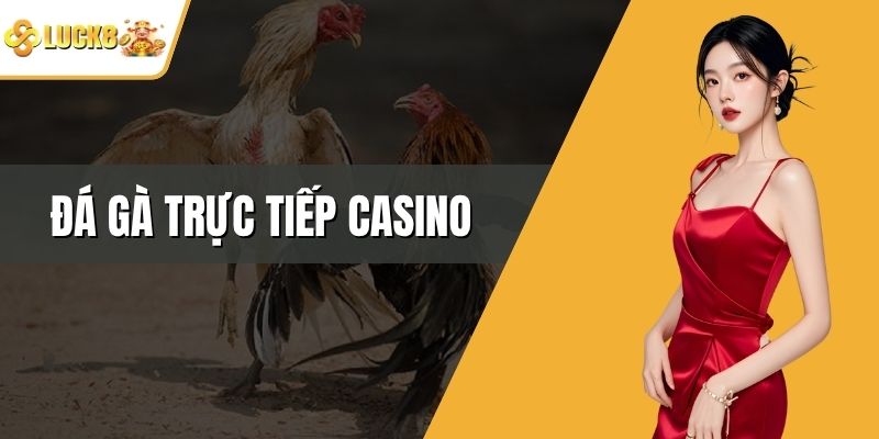 Đá Gà Trực Tiếp Casino