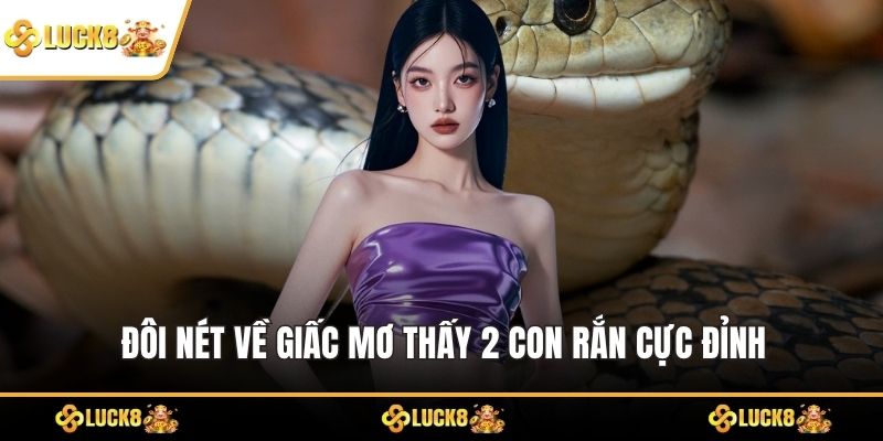 Đôi nét về giấc mơ thấy 2 con rắn cực đỉnh