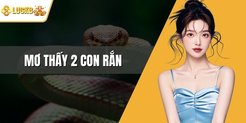 Mơ Thấy 2 Con Rắn