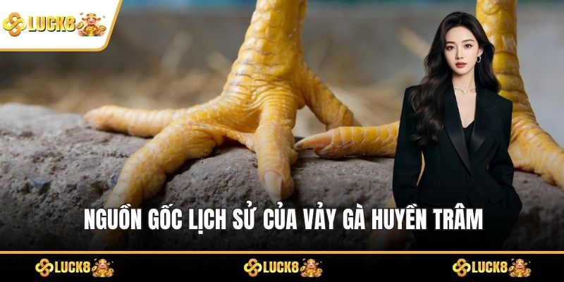 Nguồn gốc lịch sử của vảy gà huyền trâm