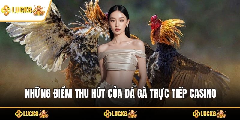 Những điểm thu hút của đá gà trực tiếp casino