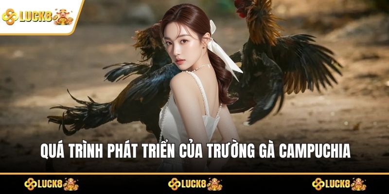 Quá trình phát triển của trường gà Campuchia