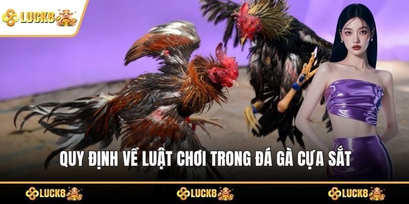 Quy định về luật chơi trong đá gà cựa sắt