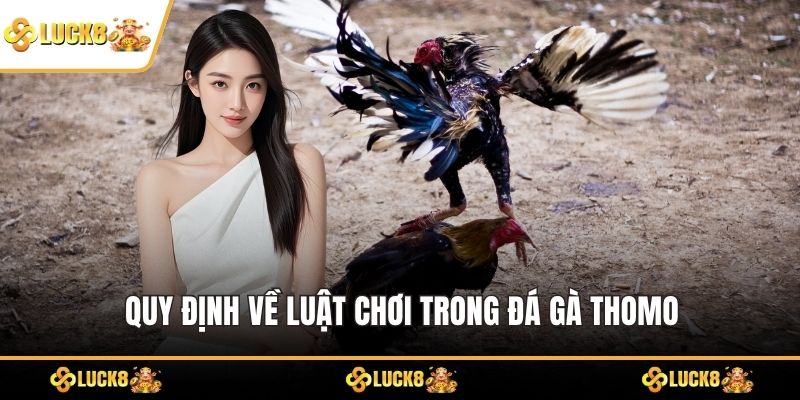 Quy định về luật chơi trong đá gà Thomo