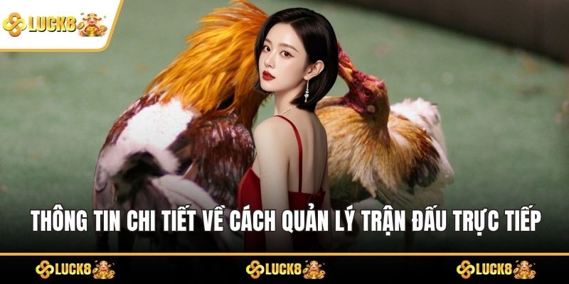 Thông tin chi tiết về cách quản lý trận đấu trực tiếp