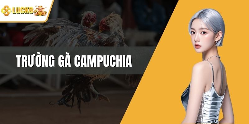 Trường Gà Campuchia