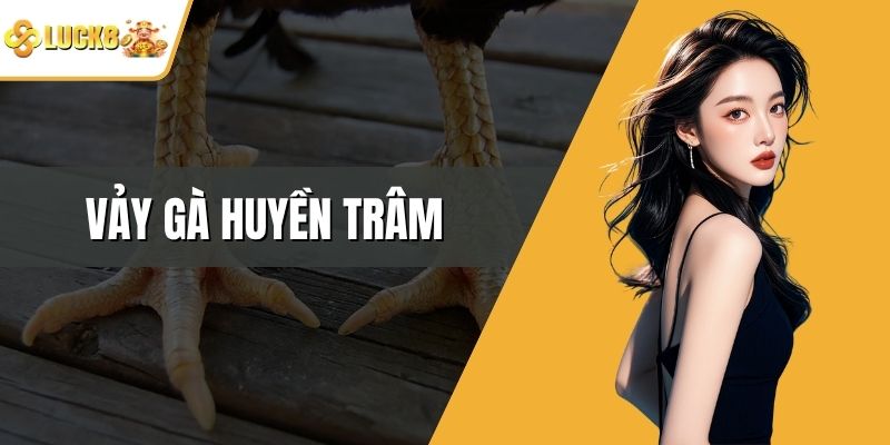 Vảy Gà Huyền Trâm